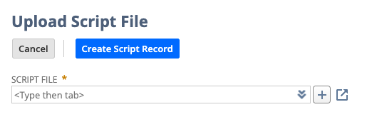 Upload Script File page with Script File dropdown and + icon