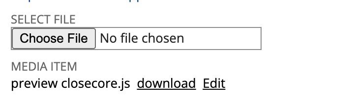 Select File field for uploading new script